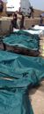 lampedusa